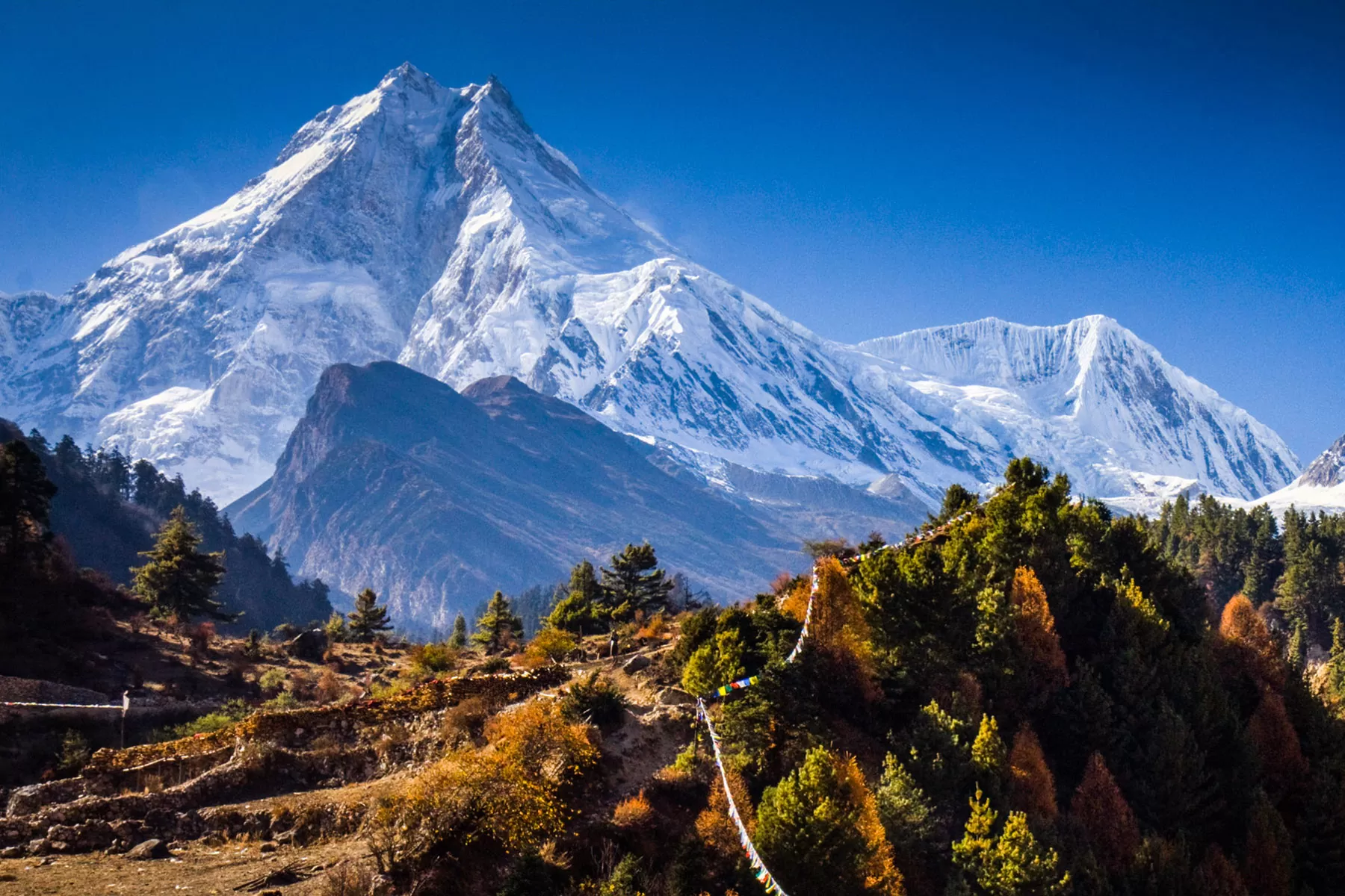 Manaslu Tsum Valley trek